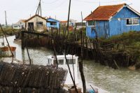 gettyimages-1185649539-612x612