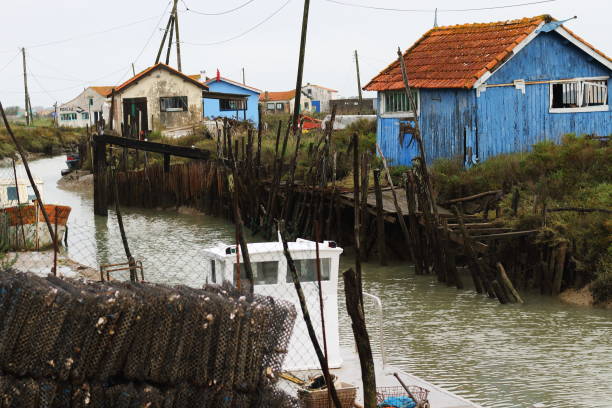 gettyimages-1185649539-612x612