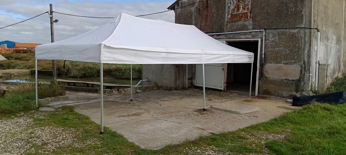 IMG_20251028_142528_791 (1)