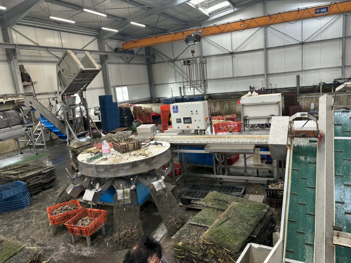 ca5e91a2-b614-4b86-ba2c-264ffee7fe2d