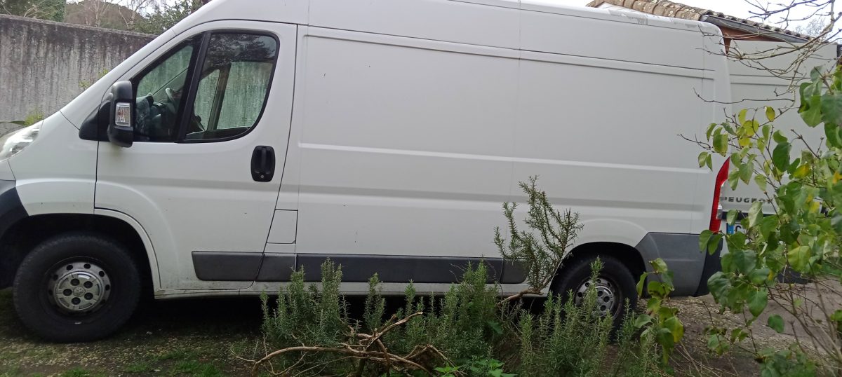 IMG_20251216_115502_950 (1)