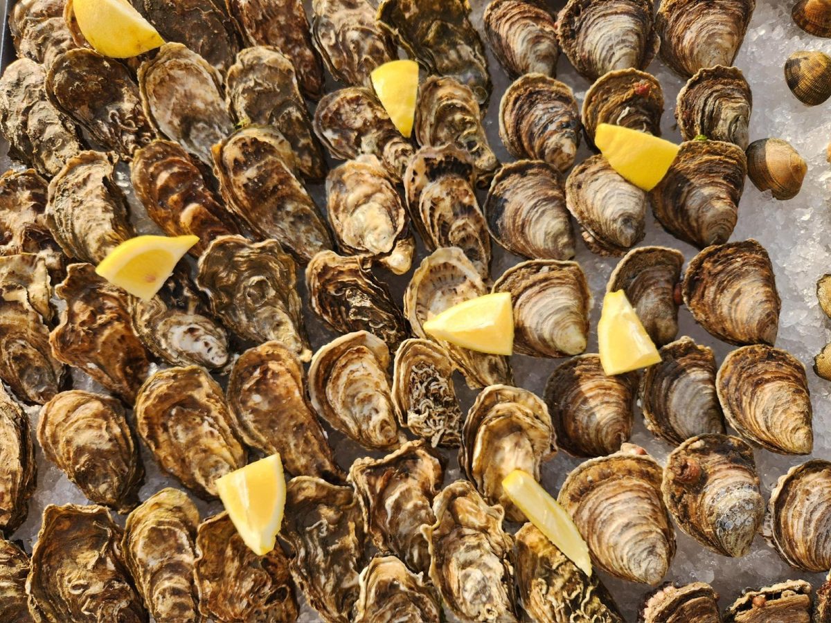 WhatsApp Image 2025-04-03 at 10.30.46