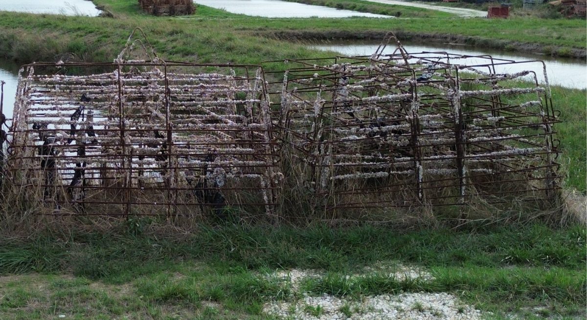 dji_fly_20250908_190908_31_1757351704472_photo