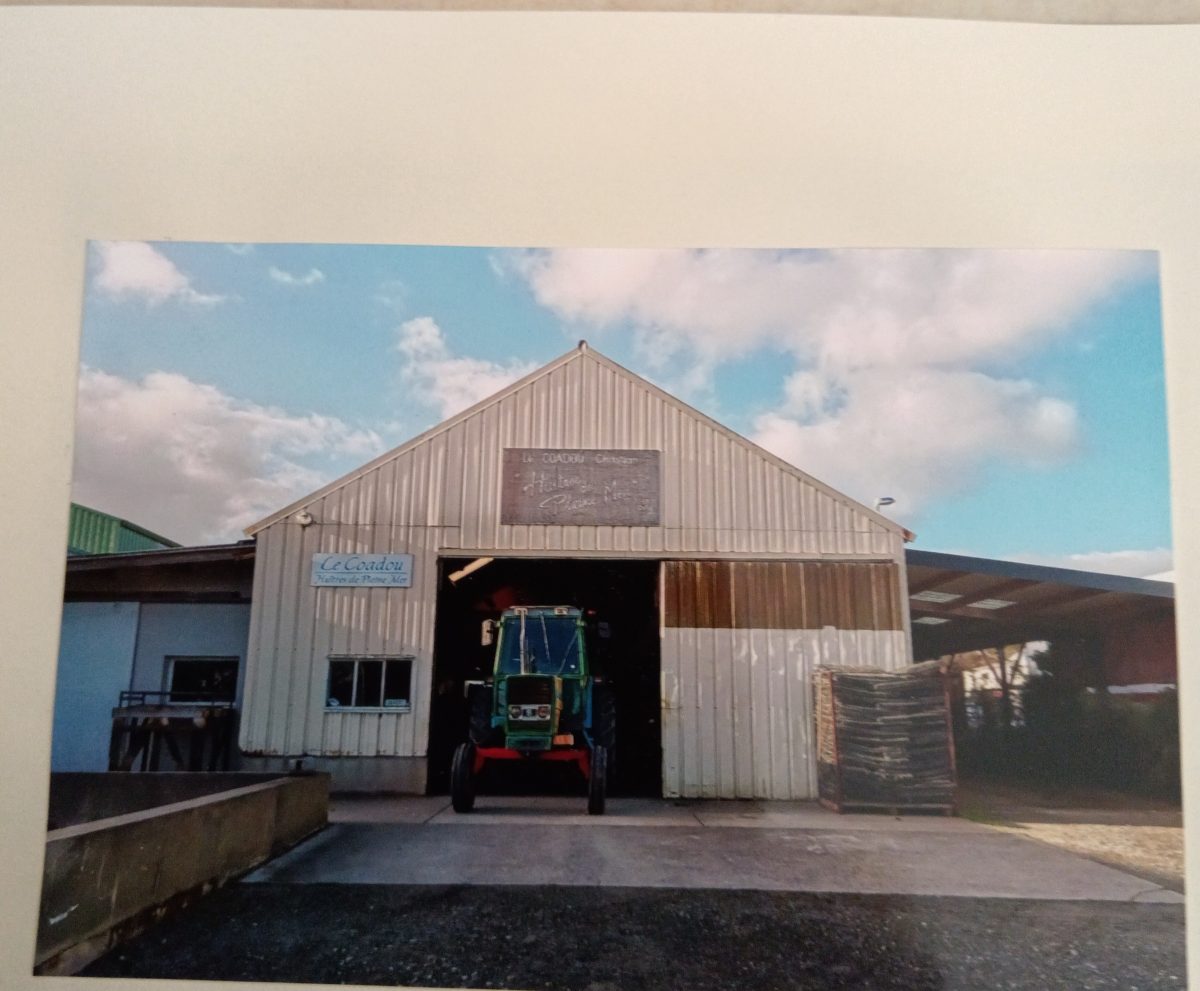 IMG_20260218_164917_edit_35899889819447