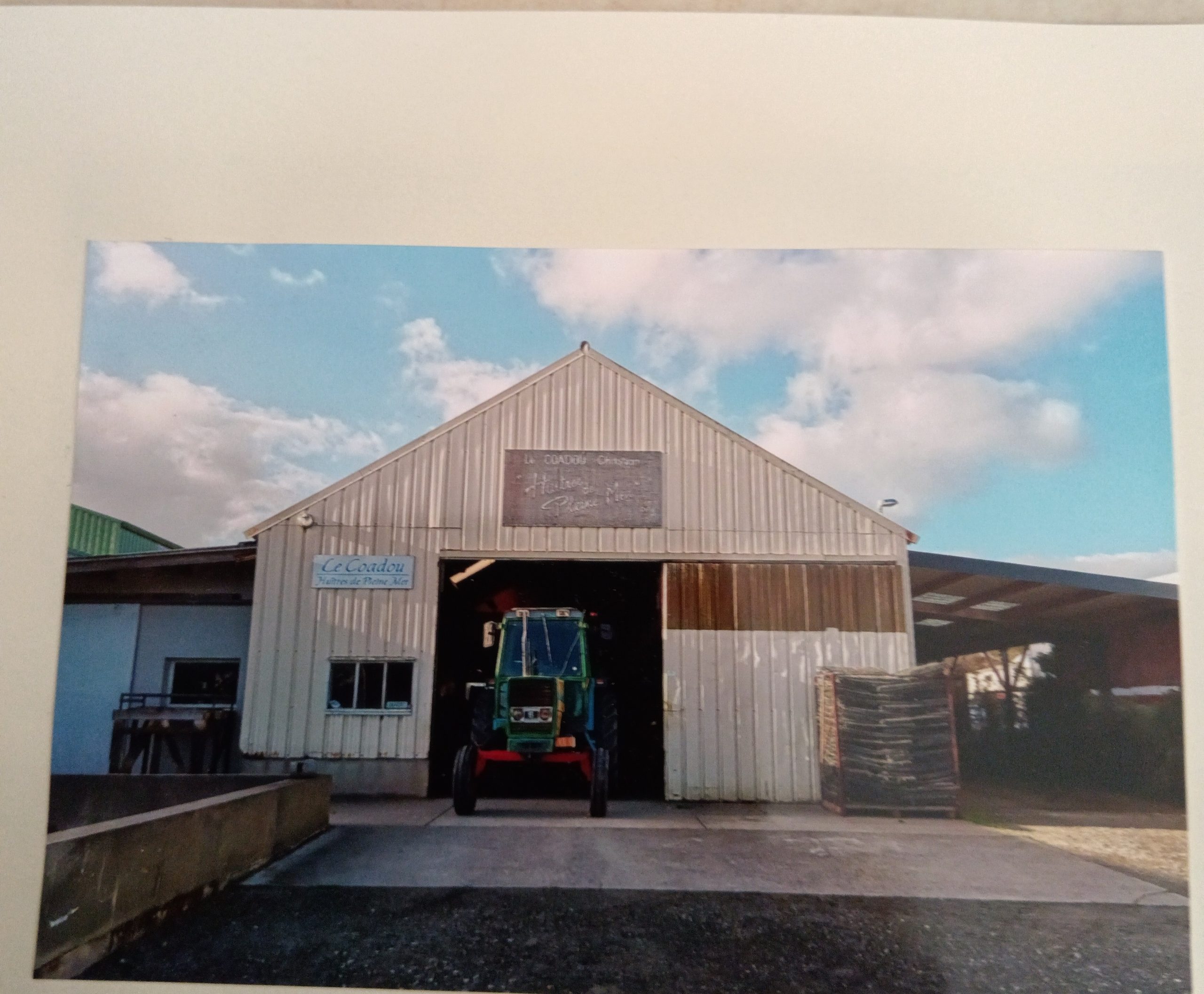 IMG_20260218_164917_edit_35899889819447