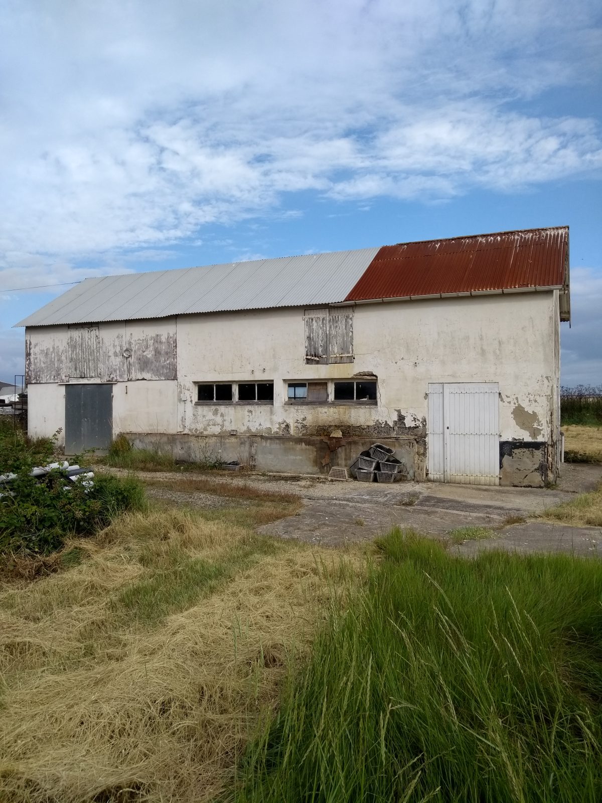 IMG_20240707_092146399