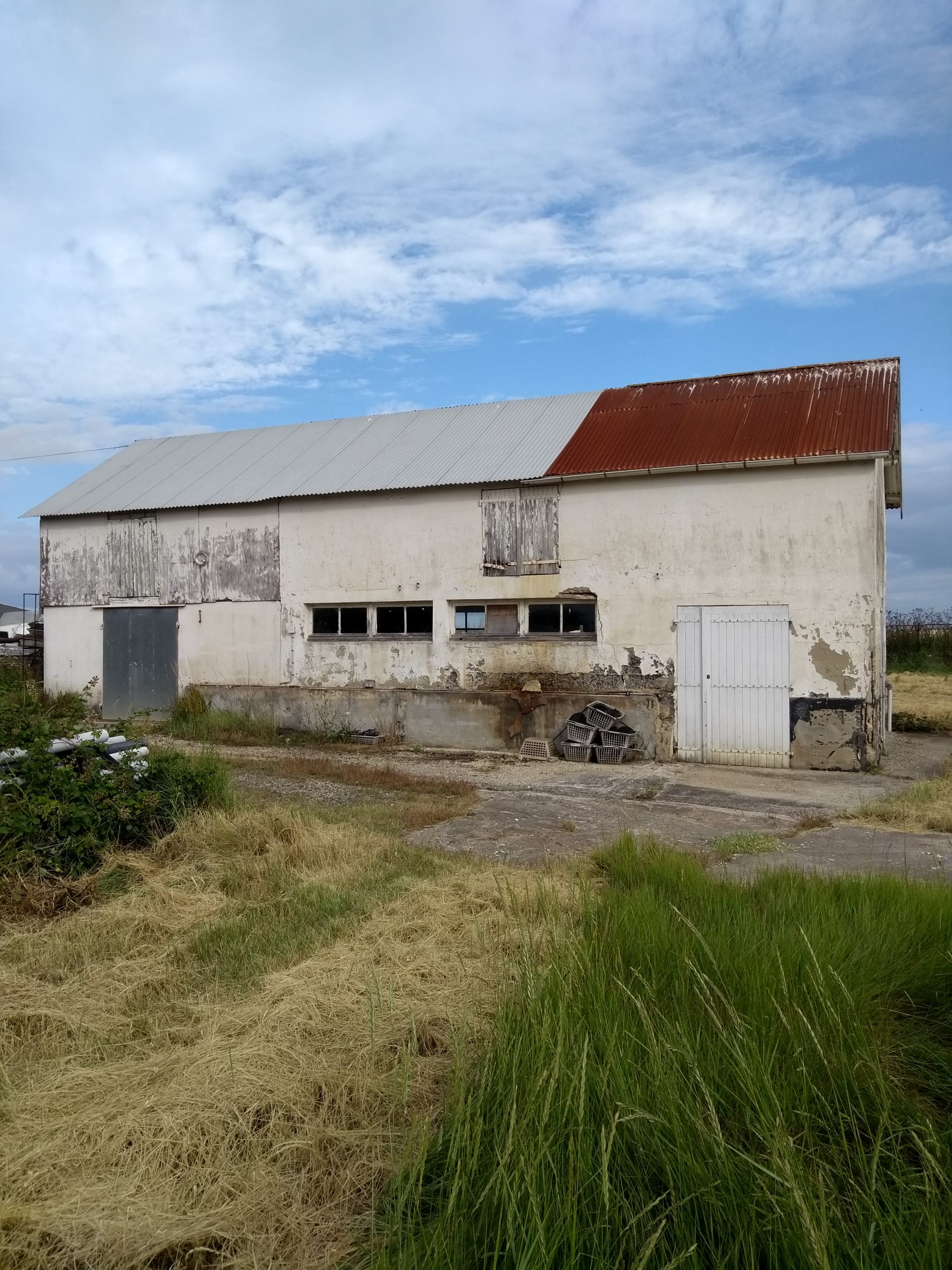 IMG_20240707_092146399