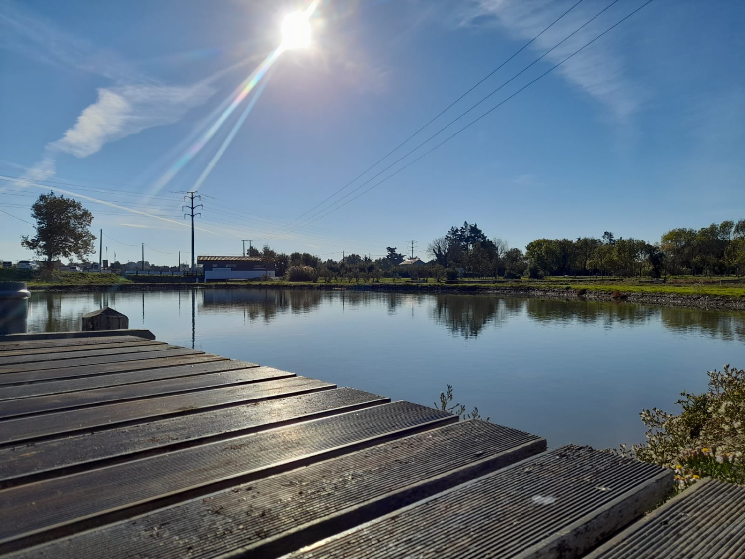 1603361026_claires-bcf