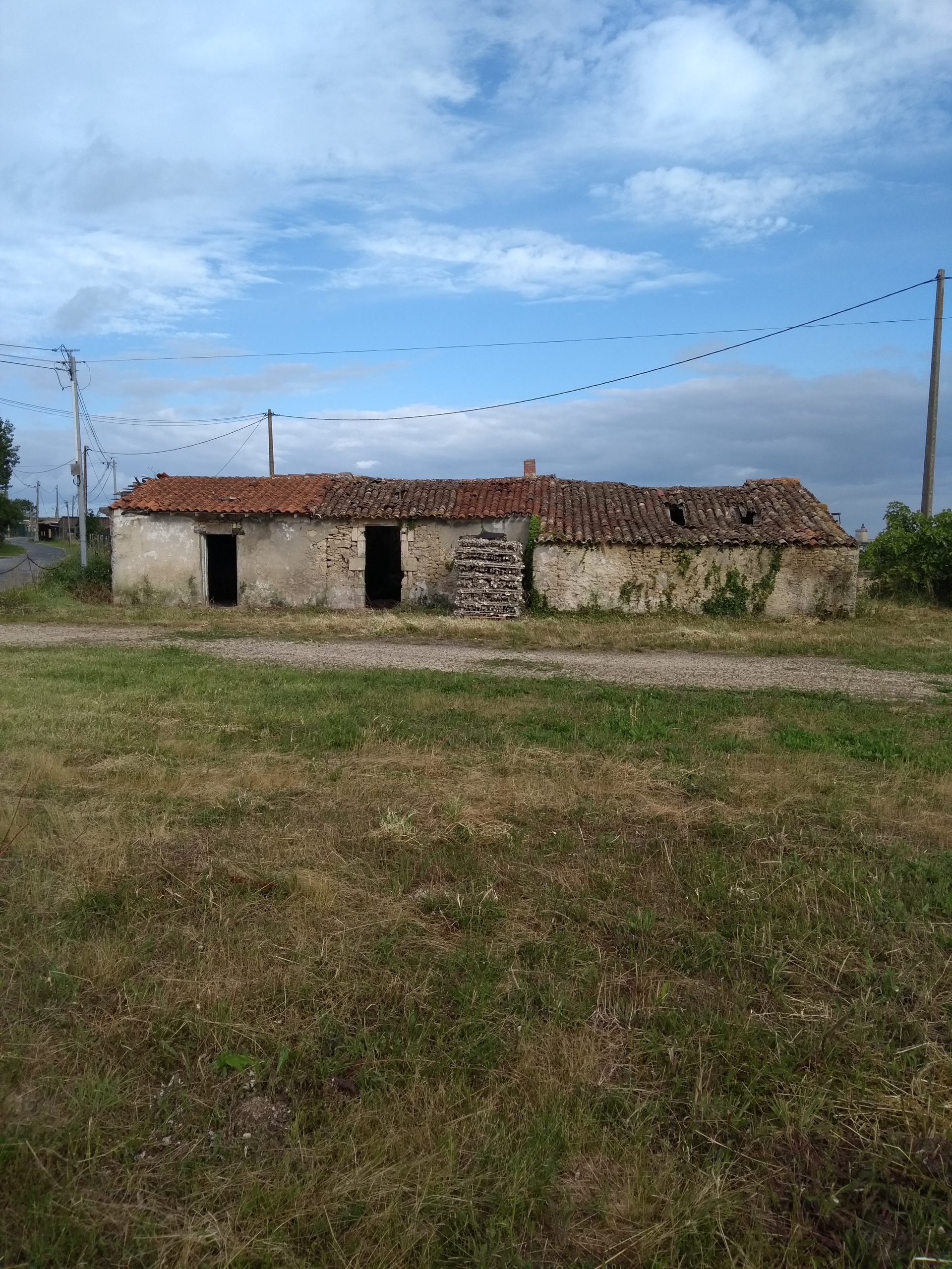 IMG_20240707_091447895