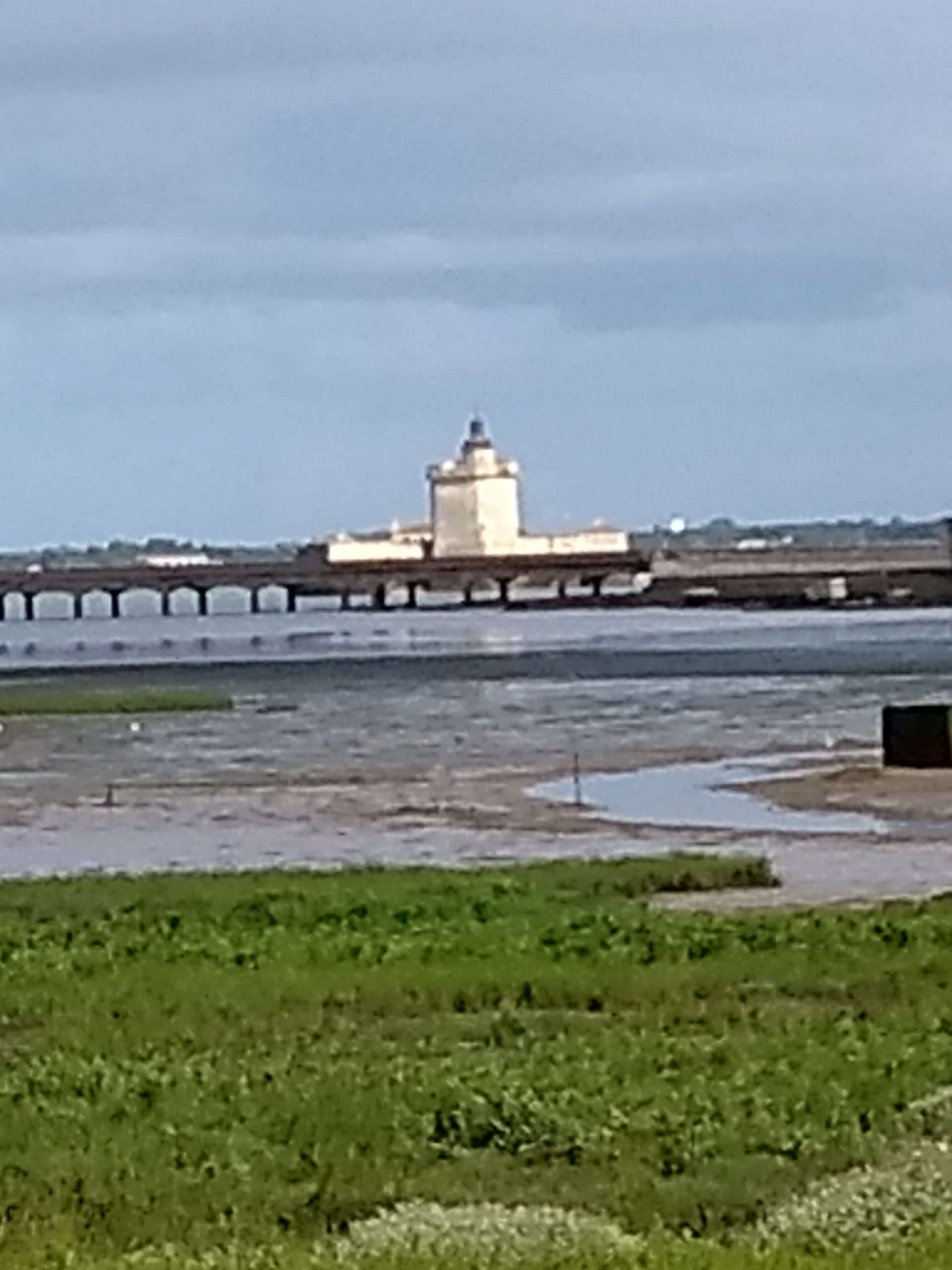 IMG_20240707_095610566