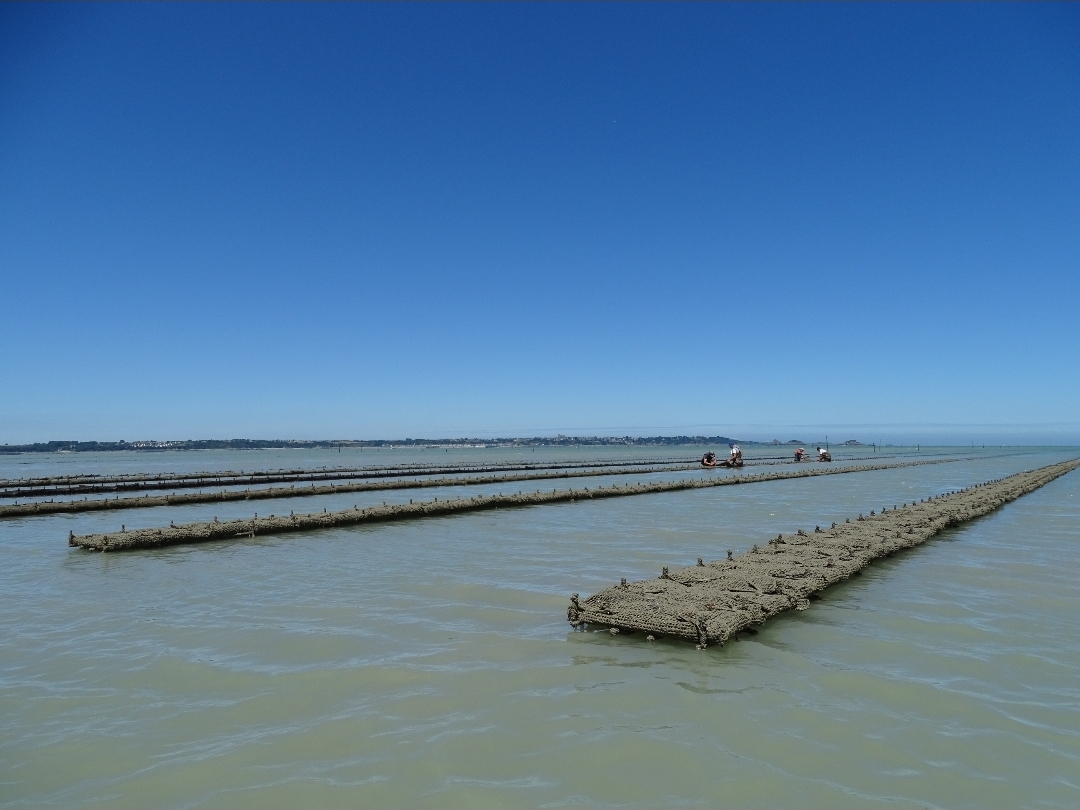 Screenshot_20260103_161423_Gallery