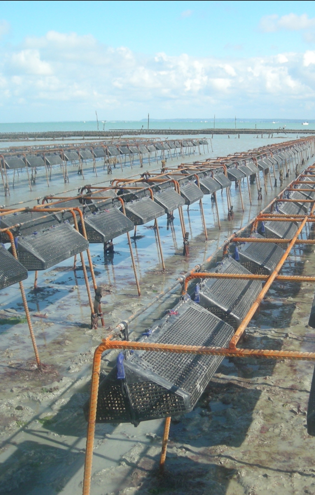 Screenshot_20250619_173135_Gallery