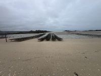 IMG_3764