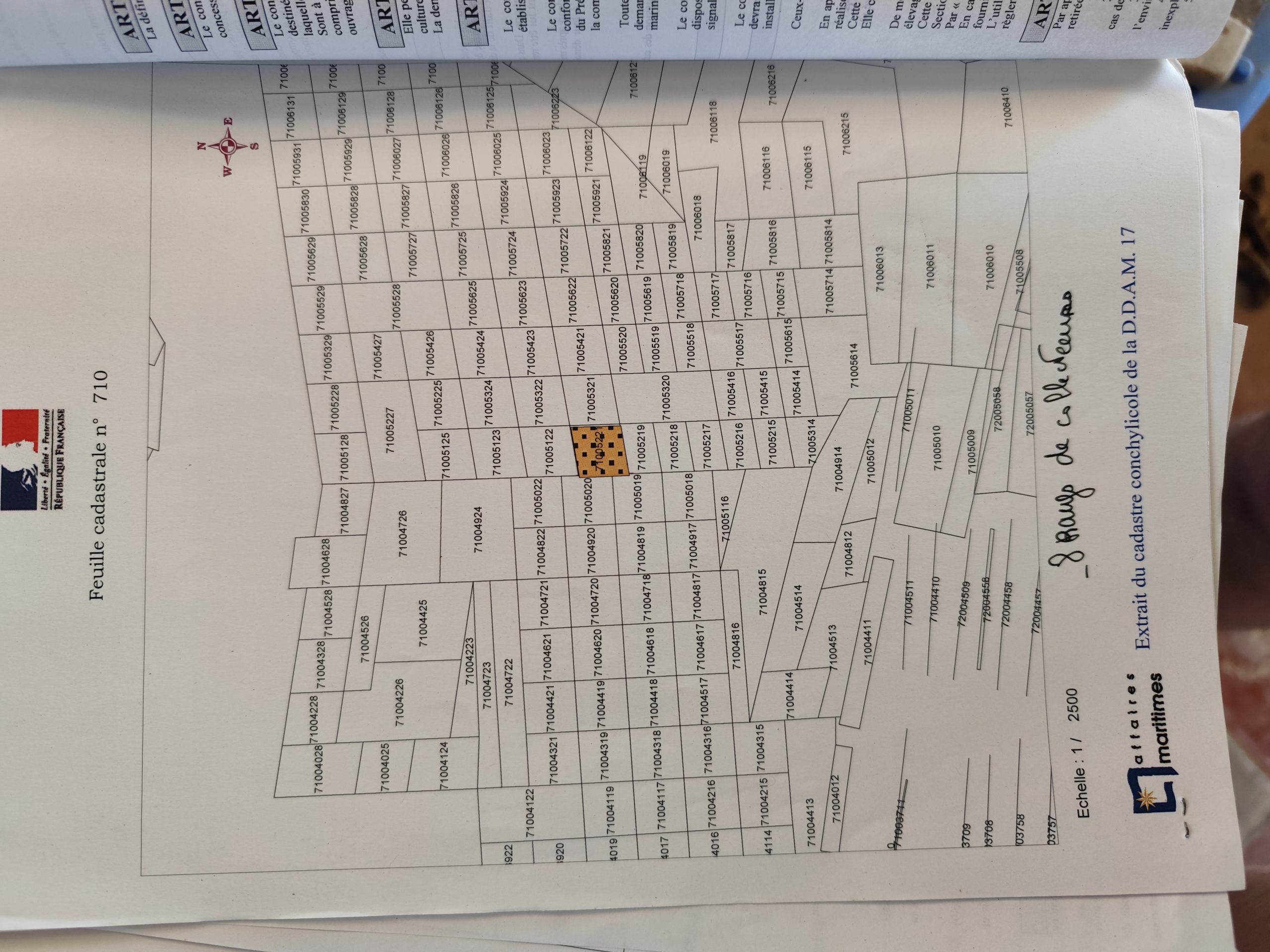 1000031293