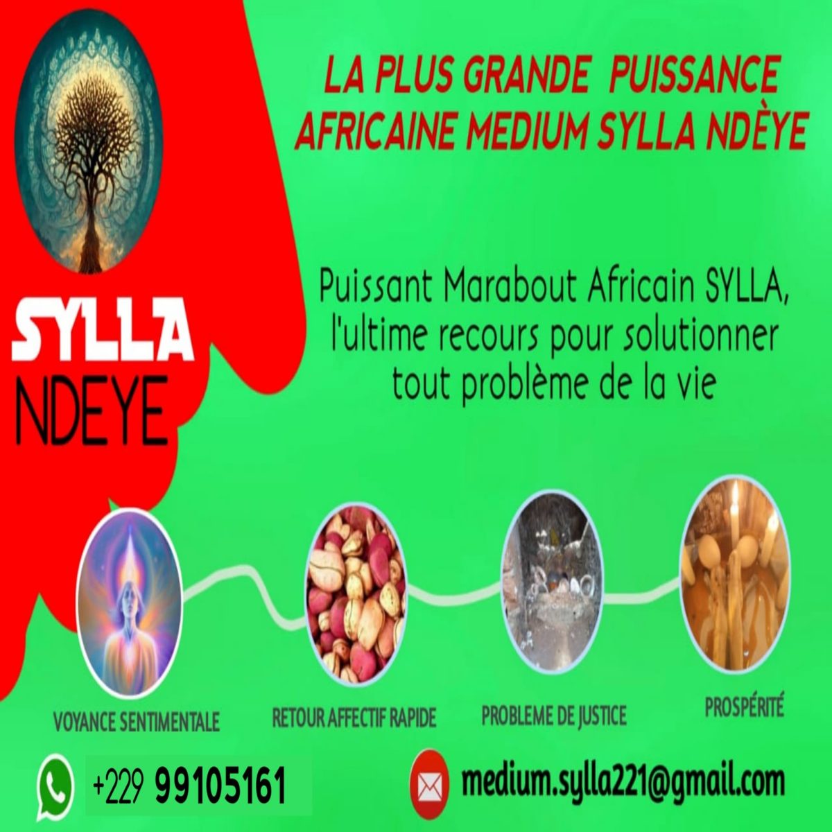 Voyance Gratuite en Amour avec le Marabout Africain SYLLA NDEYE