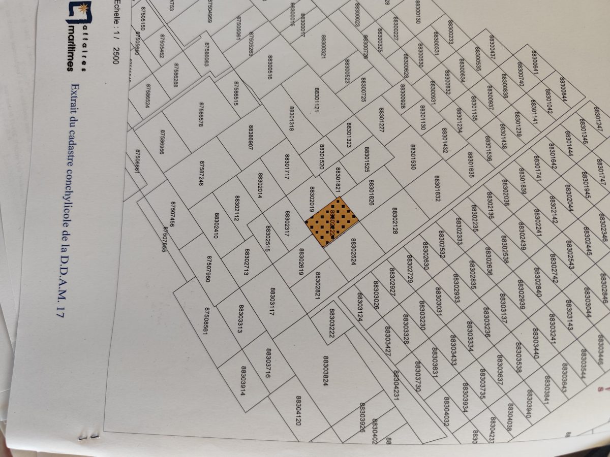 1000031298