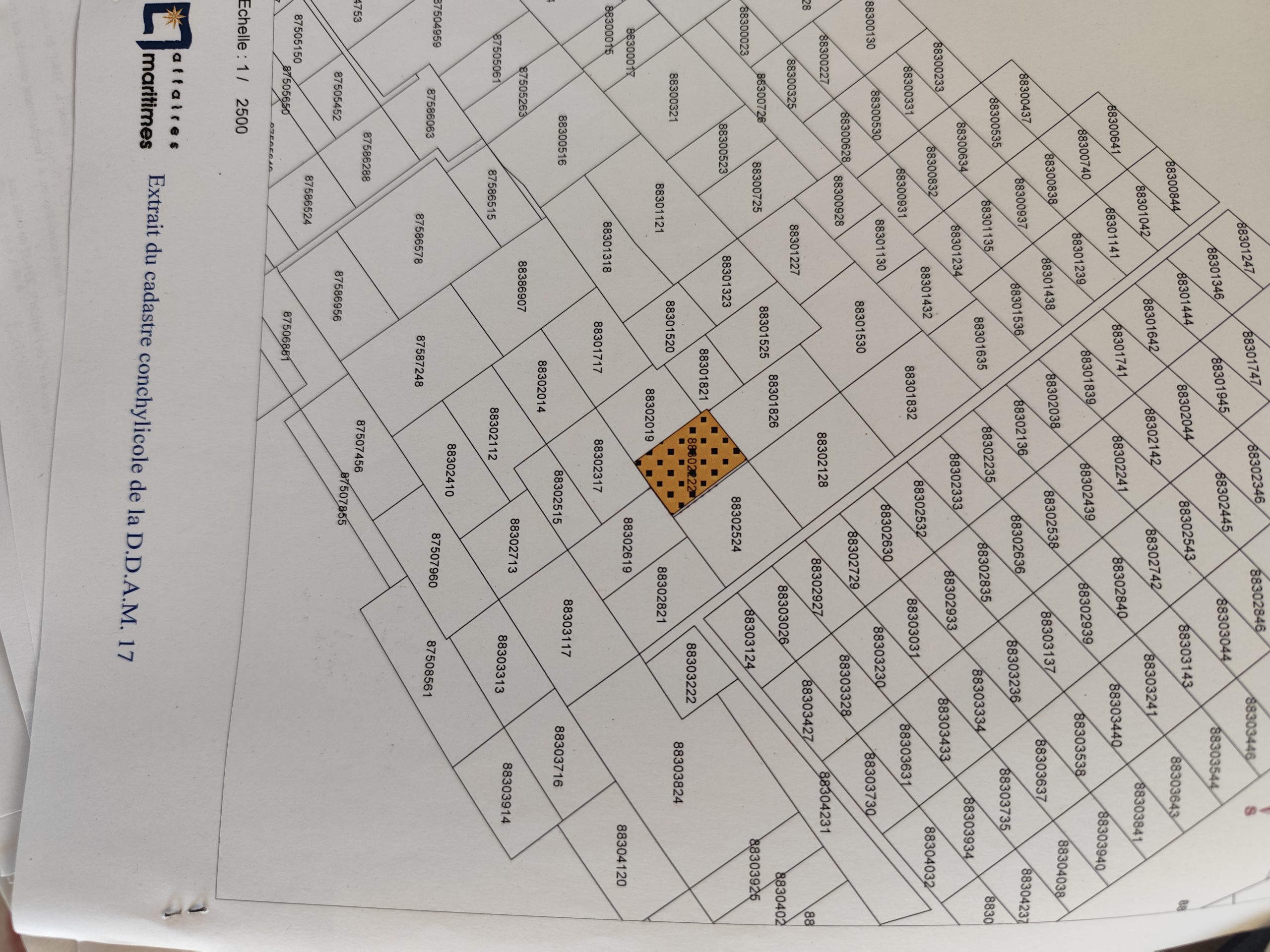1000031298