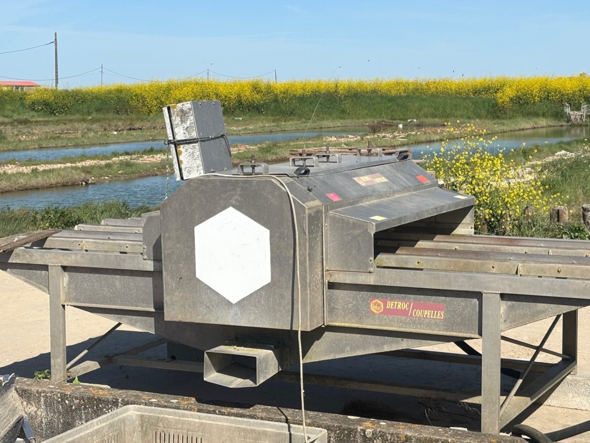 detroc