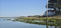 1000042203