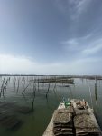 IMG_2696